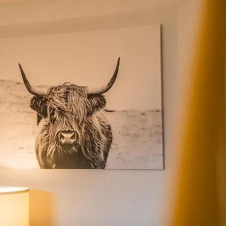 Grosszuegige Helle 3 Zimmer-wohnung Zentrumsnah Apartment *